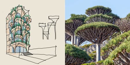 The Jungle Residence